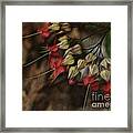 Little Red Flowers Framed Print