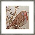 Little Robin Framed Print