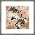 Little Zen Tree 873 Altered Framed Print