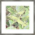 Lizard 4 Framed Print