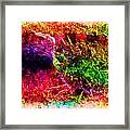 Lizard In Abstract Framed Print