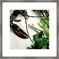 Lobster, Asparagus, Sorrel, Watercress, Mangetout Framed Print