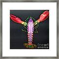 Lobster X-ray Framed Print