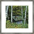 Log Cabin In The Birch Forest Vermont Framed Print