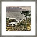 Lone Cypress Across Monterey Peninsula-1 Central California Coast Spring Mid-afternoon Framed Print