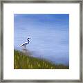 Lone Egret Painting Framed Print