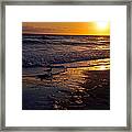 Lone Hungry Seagull Framed Print