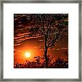 Lone Manzanita Sunset Framed Print