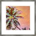 H Lone Palm Against Orange Sky - Horizontal Framed Print