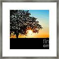 Lone Tree At Sunset Framed Print