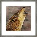 Lone Wolf Framed Print