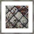 Lonely Flower Framed Print