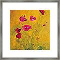 Lonely Poppies Framed Print