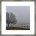 Lonely Tree Framed Print