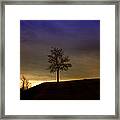 Lonely Tree On Hill Framed Print