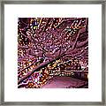 Longwood Lights 2 Framed Print