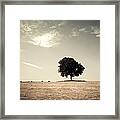 Lonsome Listry Framed Print