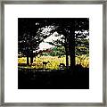 Look Out Framed Print