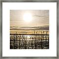 Looking At Wales Through The Grass Framed Print