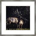 Looking For Intruders Framed Print