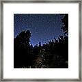 Looking Up And Out Framed Print