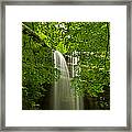 Looking Up..... Framed Print