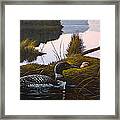 Loon Lake Framed Print