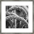 Loops Framed Print