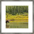 Lord Of The Lake Framed Print