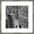 Lost In A Black And White Dream Framed Print
