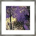 Lost In Admiration Framed Print