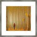 Lost In Autumn Framed Print