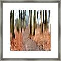 Into The Woods Framed Print