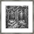 Lost In The Woods Framed Print