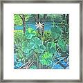 Lotus Garden Framed Print