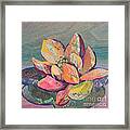 Lotus Iii Framed Print