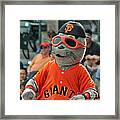 Lou Seal San Francisco Giants Mascot Framed Print