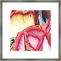 Love Story - At First Sight Framed Print