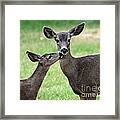 Love You Mommy Framed Print