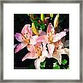 Lovely Lilies Digital Painting Framed Print