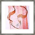 Lovers Dance In Pink With Sienna Framed Print