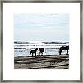 Loving Moments On The Shoreline Framed Print