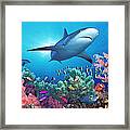 Low Angle View Of A Shark Swimming Framed Print