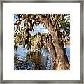 Low Country Creek Framed Print