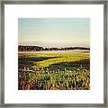 Low Layer Of Morning Fog Framed Print