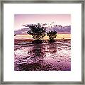 Low Tide Mangrove Framed Print