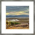 Low Tide Framed Print