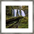 Lower Panther Creek Falls Framed Print