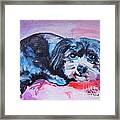 Lucy Lou Framed Print