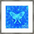 Luna Moth Blue Framed Print